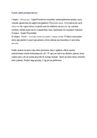 system-opieki-przedporodowej-omowienie