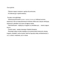 Czucie głębokie - omówienie