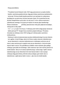 droga-paracelularna-omowienie