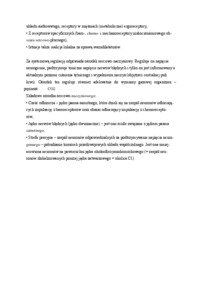 Rola układu nerwowego - omówienie