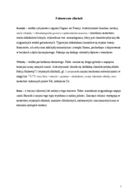 falszowanie-alkoholi-omowienie