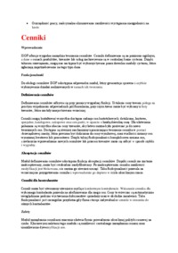 Raporty kasowe - omówienie