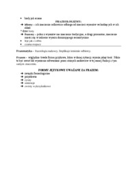 detabuizacja-w-graffiti-i-w-mass-mediach-frazeologia-wyklad