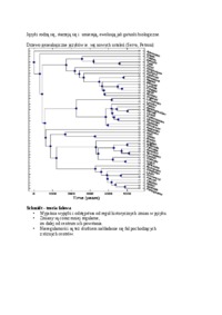 mlodogramatyzm-wyklad
