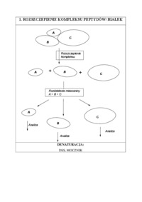 Rozszczepienie kompleksu peptydów, białek - wykład