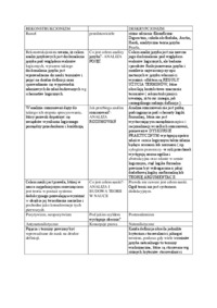 rekonstrukcjonizm-a-deskrypcjonizm-wyklad