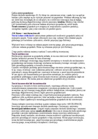 cykl-a-wzrost-gospodarczy-wyklad