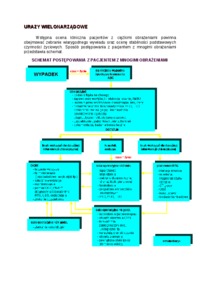 urazy-wielonarzadowe-wyklad