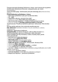 Koncepcja przemysłu kulturalnego Horkheimera i Adorno - wykład