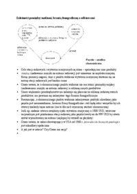 Zależności pomiędzy mediami, branżą fonograficzna, a mediami - wykład