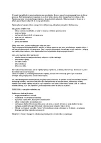 Budowa serca-opracowanie