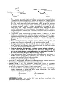 Regulacja poziomu glikogenu w komórkach-opracowanie