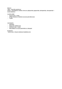 bialka-i-ich-rodzaje-opracowanie