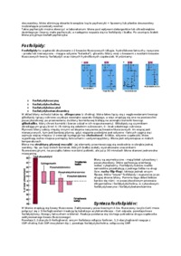 Błona komórkowa-opracowanie