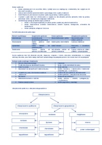 system-zabezpieczenia-spolecznego