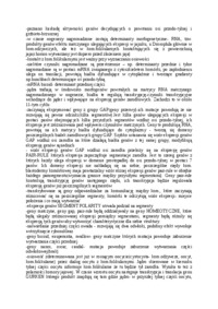 polaryzacja-u-drosophila-opracowanie