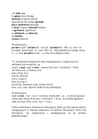 Zagadnienia ważne w deklinacji rzeczownikowej-opracowanie