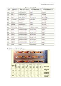 identyfikacja-bakterii-z-rodziny-enterobacteriacaeae-opracowanie