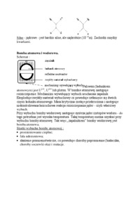 Reaktor jadrowy i bomba atomowa - omówienie