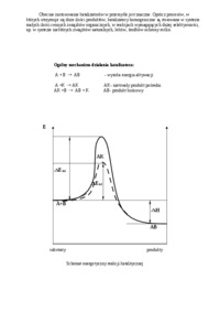 Kataliza homogeniczna  - omówienie