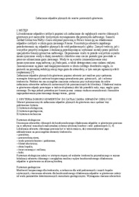 Zatłaczanie odpadów płynnych do warstw porowatych górotworu - omówienie