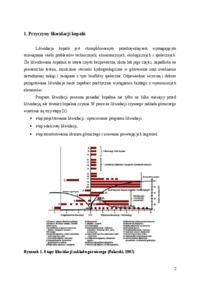 Hydrogeologiczne aspekty likwidacji kopalń - sprawozdanie