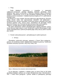 Poeksploatacyjne wyrobiska górnicze na świecie i w Polsce - omówienie