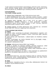 Rośliny w ogrodzie - wykład