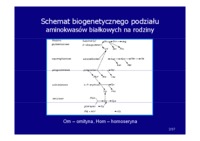 aminokwasy-elementy-budulcowe-bialek