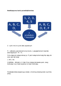 przedsiebiorstwo-opracowanie-2