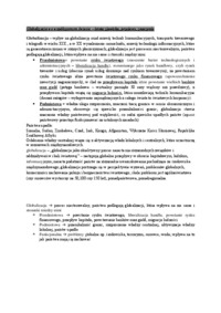 Wykład - Globalizacja we współczesnym świecie