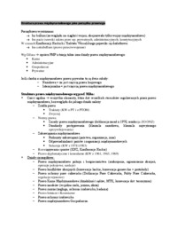 Wykład - Struktura prawa międzynarodowego jako porządku prawnego