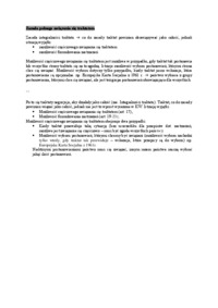 wyklad-zasada-pelnego-zwiazania-sie-traktatem