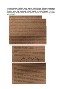 metodyka-nauczania-matematyki-notatki-z-wykladow-i-cwiczen