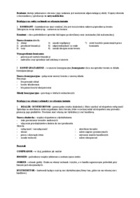 Pośrednicy w handlu zagranicznym- opracowanie