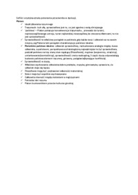 Polityka w starożytnej Grecji- opracowanie