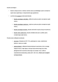 Łożysko przodujące