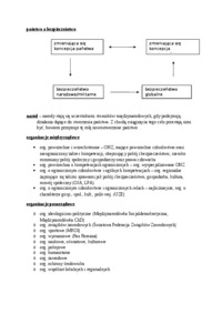 państwo a bezpieczeństwo - omówienie