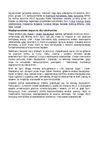 Wsparcie międzynarodowe dla strony rządowej - omówienie