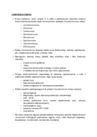Corynebacterium - omówienie