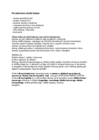 Higiena i epidemiologia, Pozasłuchowe skutki hałasu - omówienie