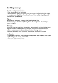 Zespół długu czasowego - omówienie