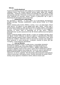 Sokrates - omówienie