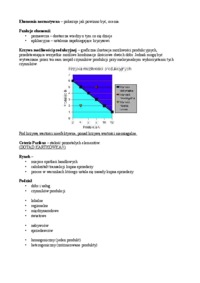 alokacja-zasobow-opracowanie