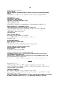 dunska-polityka-medialna-opracowanie