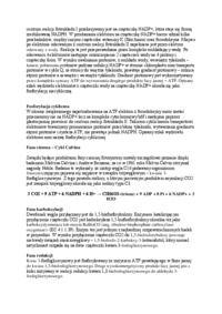 Fotosynteza-opracowanie