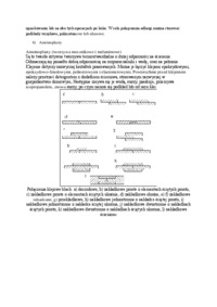 Rodzaje tworzyw sztucznych-opracowanie