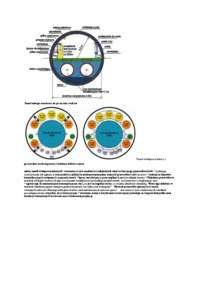 tunele-wieloprzewodowe-opracowanie