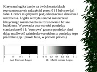 teoria-zbiorow-rozmytych-prezentacja-na-wyklad-z-systemow-ekspertowych