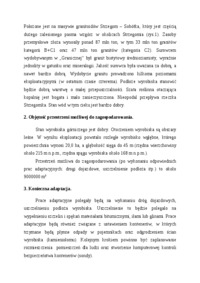 Składowanie odpadów w wyrobisku górniczym-projekt